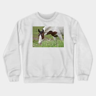 Cleo Crewneck Sweatshirt